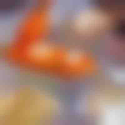 2en1 dumpling maker | DUMPLINGER