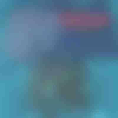 Bañador de secado rápido | TOGGIES