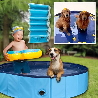 Piscina plegable no hinchable para mascotas | FOLDIPOOL