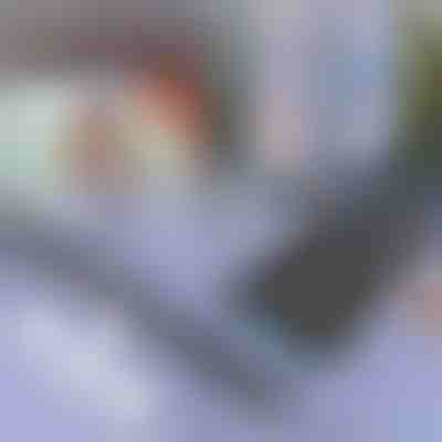 Parasol para coche y ventana | SUNGUARD