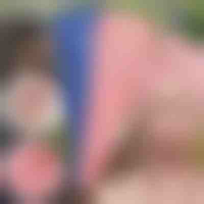 Toalla de secado rápido para el cabello (Paquete de 2) | HAIRWRAP