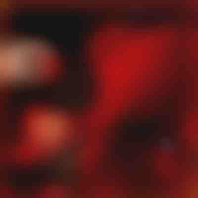 El regalo que habla de amor | LOVEBEAR