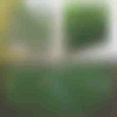 Panel de cerca extensible con hiedra - 30x180 cm, resistente a los rayos UV, sin herramientas | GREENFENCE