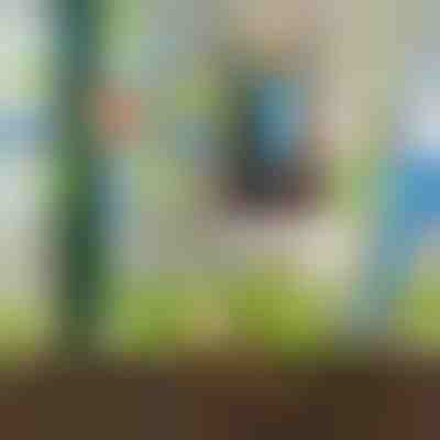 JUEGO DE RIEGO CON 8 UNIDADES | PLANTDROPS