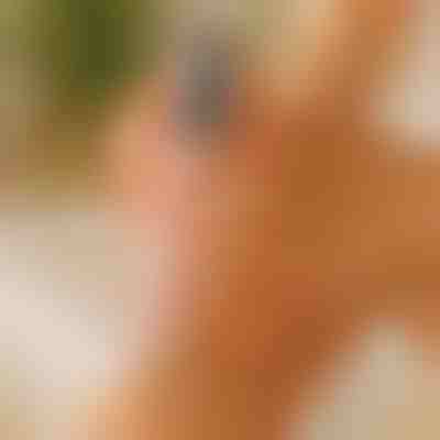 Pies suaves y tersos | PEDIVIA