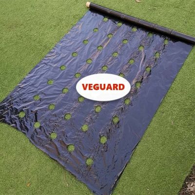 Malas hierbas eliminadas en 24 horas - Manta de jardín 0,95 x 10 m | VEGUARD